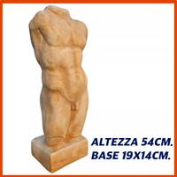 Statua scultura busto romano torso umano cemento