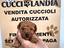 Immagine 6