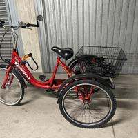 Triciclo elettrico Sempion