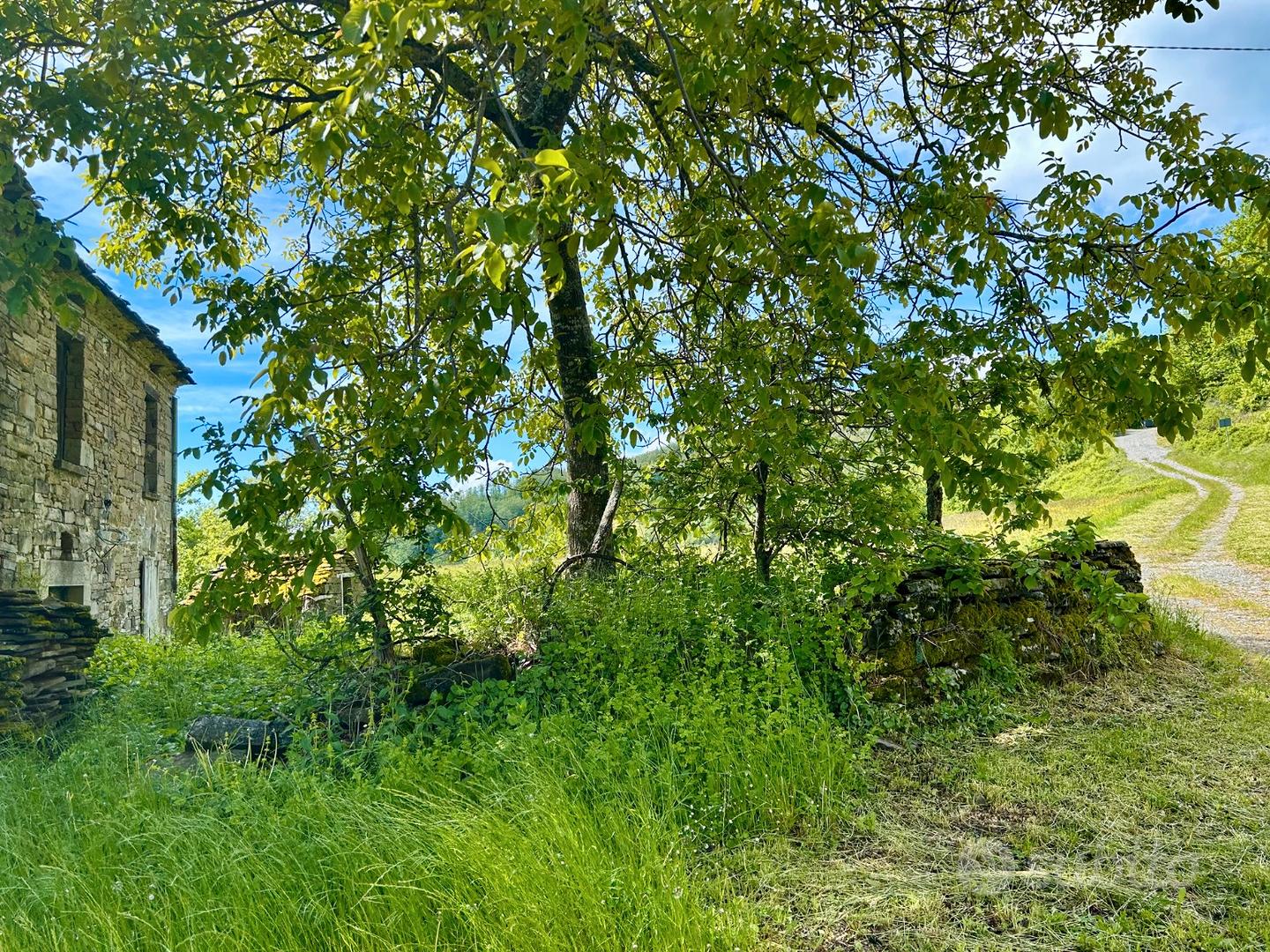 Rustico in Sasso con Terreno in Appennino Parmense - Vista 5