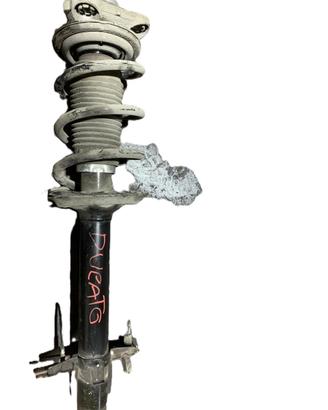 AMMORTIZZATORE ANTERIORE SINISTRO FIAT Ducato 5°