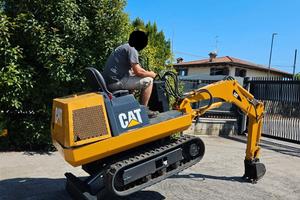 E246- Escavatore Caterpillar