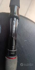 Canna da spinning Daiwa Luvias Salt - pesca