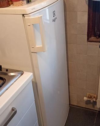frigorifero ELECTROLUX SPACEPLUS