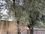Immagine 6