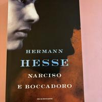 Narciso e Boccadoro - Hermann Hesse
