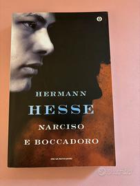 Narciso e Boccadoro - Hermann Hesse
