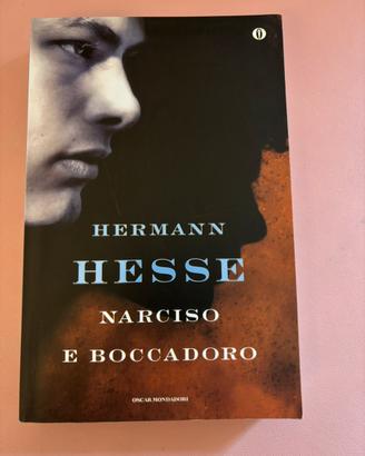 Narciso e Boccadoro - Hermann Hesse