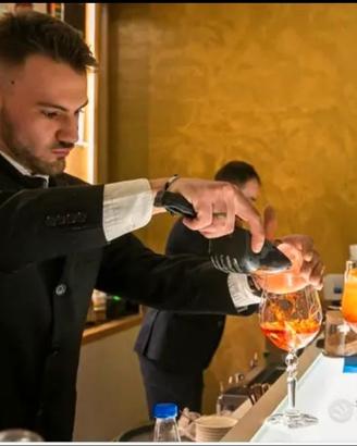 Bar Manager /Responsabile Sala & Bar / F&B Profes