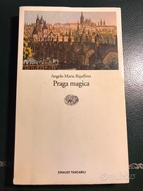 Praga magica Angelo Maria Ripellino