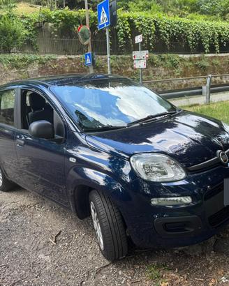Fiat panda benzina