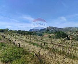Terreno - Santa Flavia