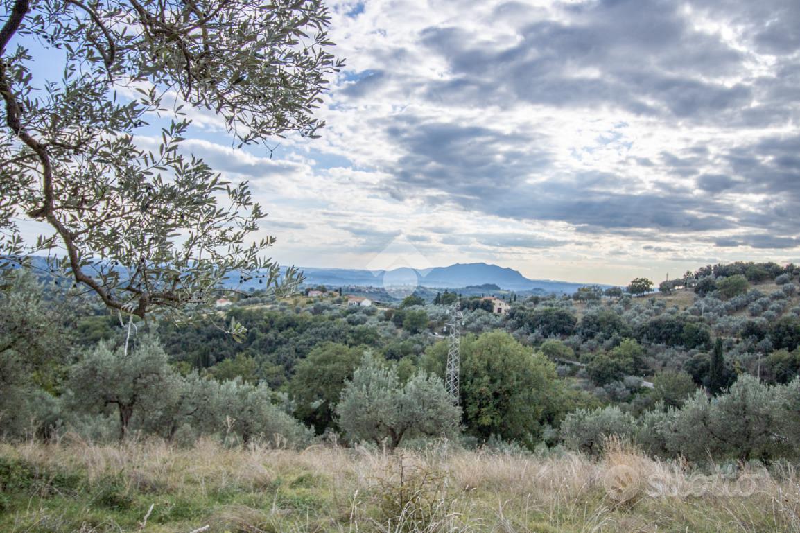 TER. AGRICOLO A TORRI IN SABINA - Vista 3
