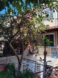 Appartamento vacanze Cagliari