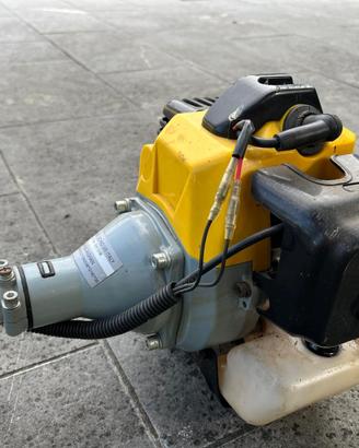 Decespugliatore a scoppio