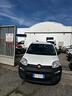 fiat-panda-1-3-mjt-s-s-pop-van-2-posti