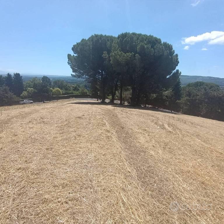 Terreno di 6820 m² a Sutri - Vista 2