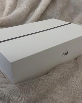 Ipad 7