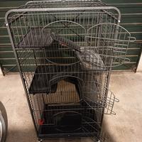 gabbia per cincillà 