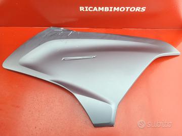 CARENA DX ANT BMW R1250RT