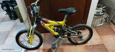 bicicletta bambino