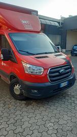 Ford transit cassonato