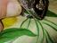 Immagine 3