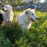 Titty e Tony due cuori in attesa di amore