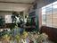Immagine 23