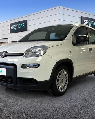 FIAT Panda 1.0 FireFly 70cv S&S Hybrid