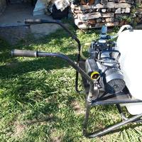 motopompa per trattamento alberi