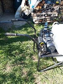 motopompa per trattamento alberi