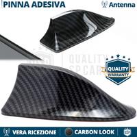 Antenna PINNA SQUALO per FORD in Fibra di CARBONIO