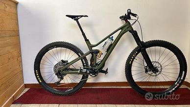 Bici da enduro
