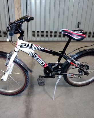 Bicicletta