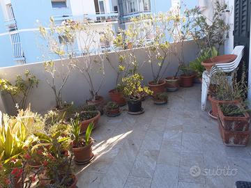 Nuda proprieta': ampia metratura in zona Marradi