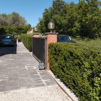 Manutenzione giardino siepi potatura