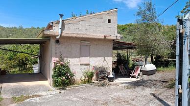 Frutteto con casa in regola a 22 km da palermo