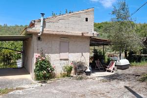 Frutteto con casa in regola a 22 km da palermo