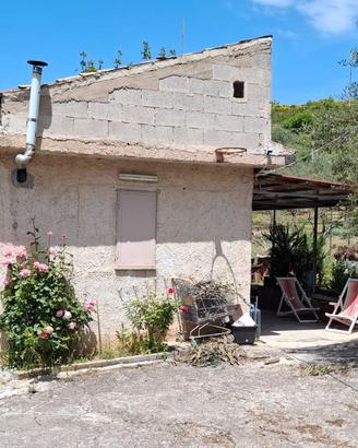 Frutteto con casa in regola a 22 km da palermo