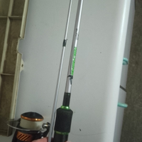 Canna da pesca spinning molix