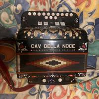 organetto,cavaliero della noce