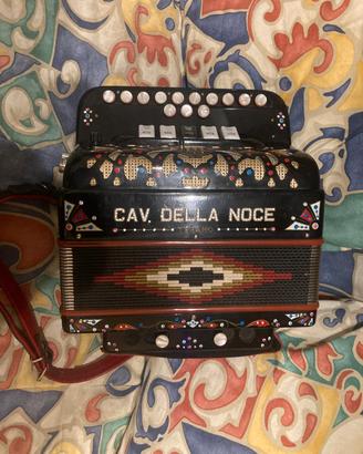 organetto,cavaliero della noce