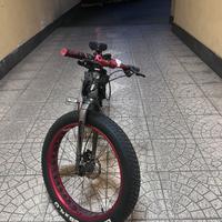 Fat bike