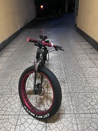 Fat bike