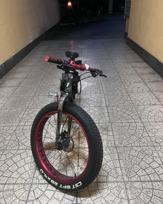 Fat bike