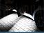 Immagine 9