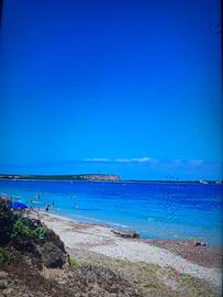 Terreno 6000 mq fronte mare