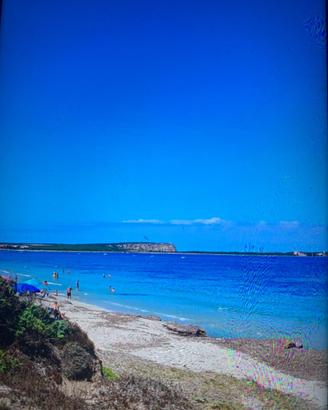 Terreno 6000 mq fronte mare
