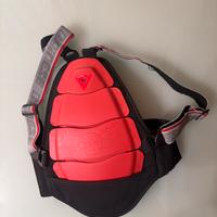 paraschiena dainese